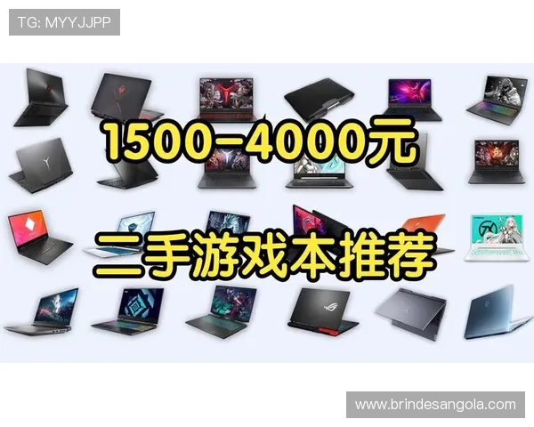 bob真人会员登录入口全面指南，详细介绍登录流程与常见问题解决方案，确保顺畅游戏体验