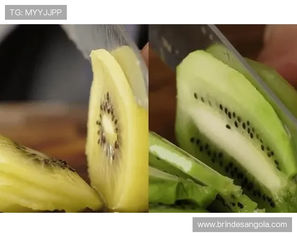 芒果体育奇异果体育下载最新版本功能介绍与使用亮点分析